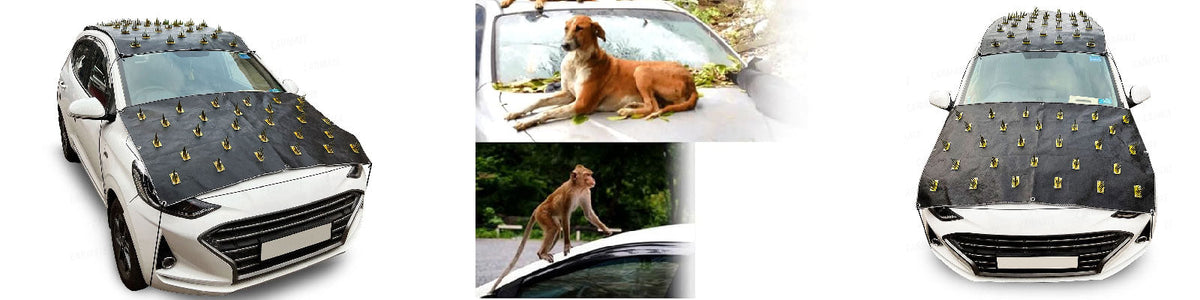 Dog Protection Cover – Auto Pearl Automotives