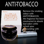 Airpro Grandeur Lush Retreat Car Air Freshner/Car Perfume Diffuser Set 40 g