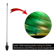 Auto Pearl - APA111 Vehicle Roof Mount Rubber Antenna Mast Flexible Car Antenna with Anti-Theft Design and Car Wash Safe - Black -GOPLUS / Terrano / Duster / Lodgy / Pulse / Micra