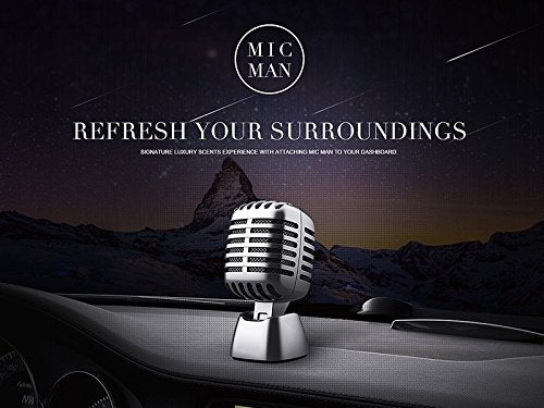 Airpro MicMan Gold Bless Car Freshener Car Perfume Diffuser Set 37 g ...