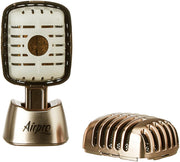 Airpro MicMan Gold Bless Car Freshener Car Perfume Diffuser Set 37 g